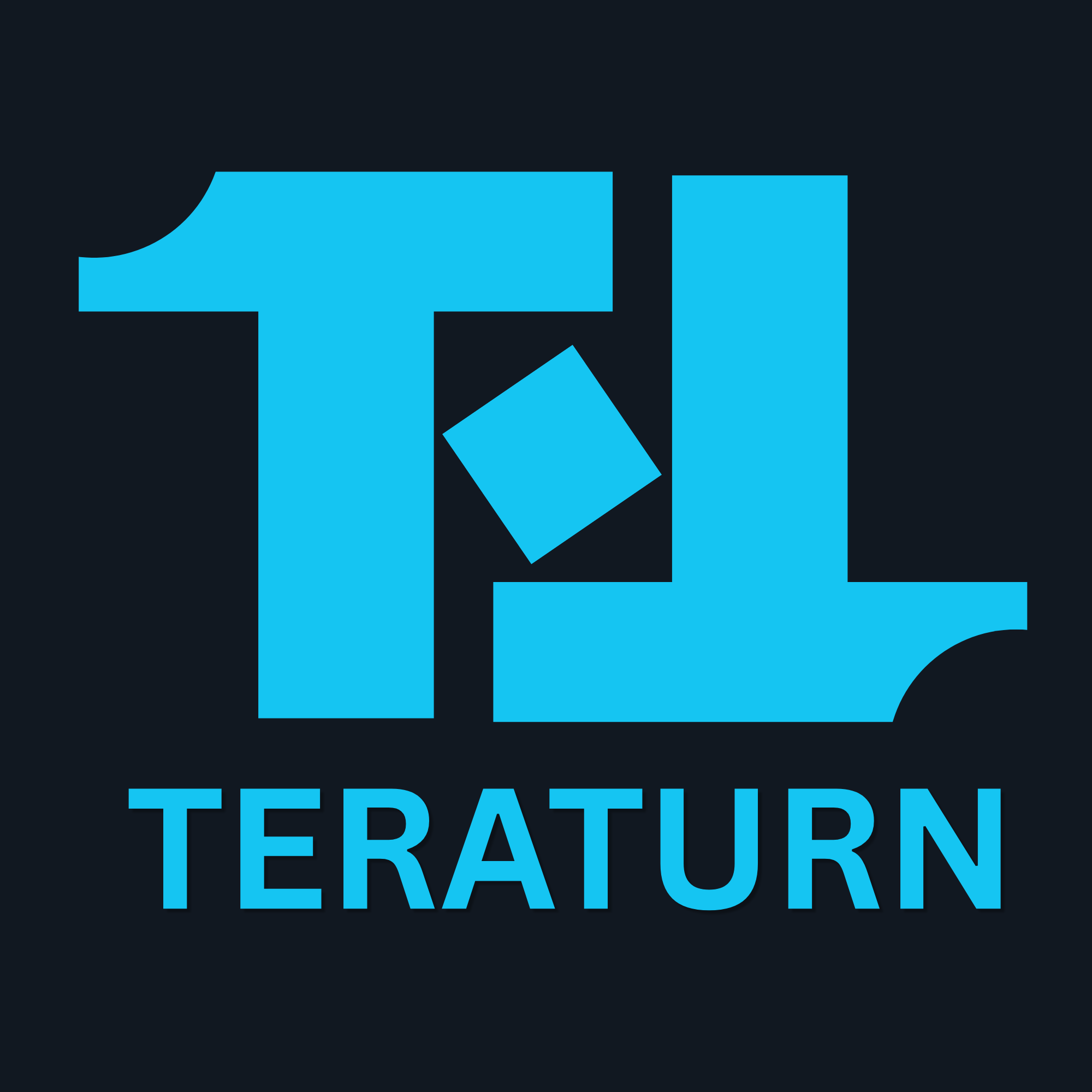 Teraturn logo